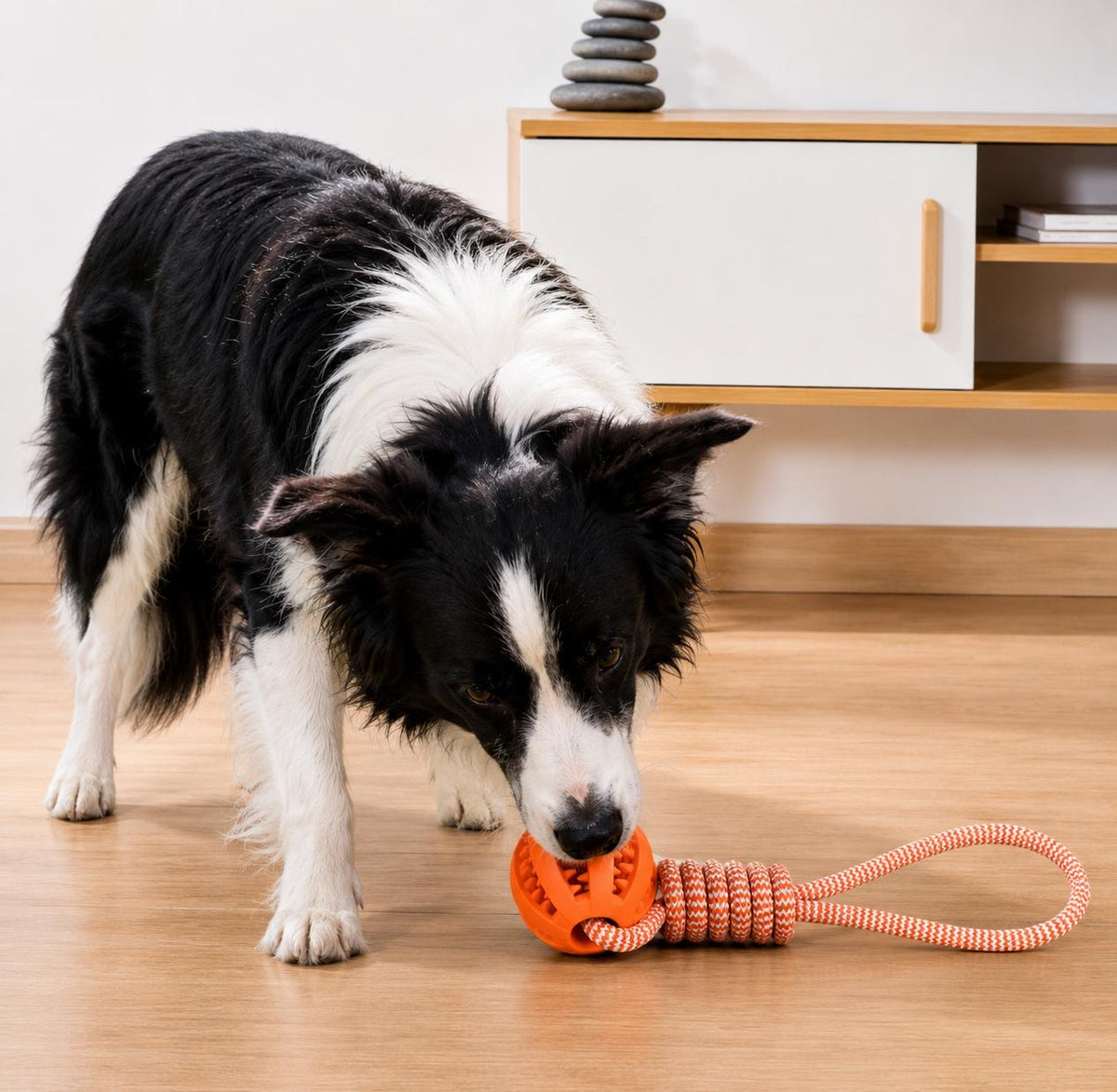 Jouet Balle & Corde 🐾 Dentaire Anti-Ennui pour Chien