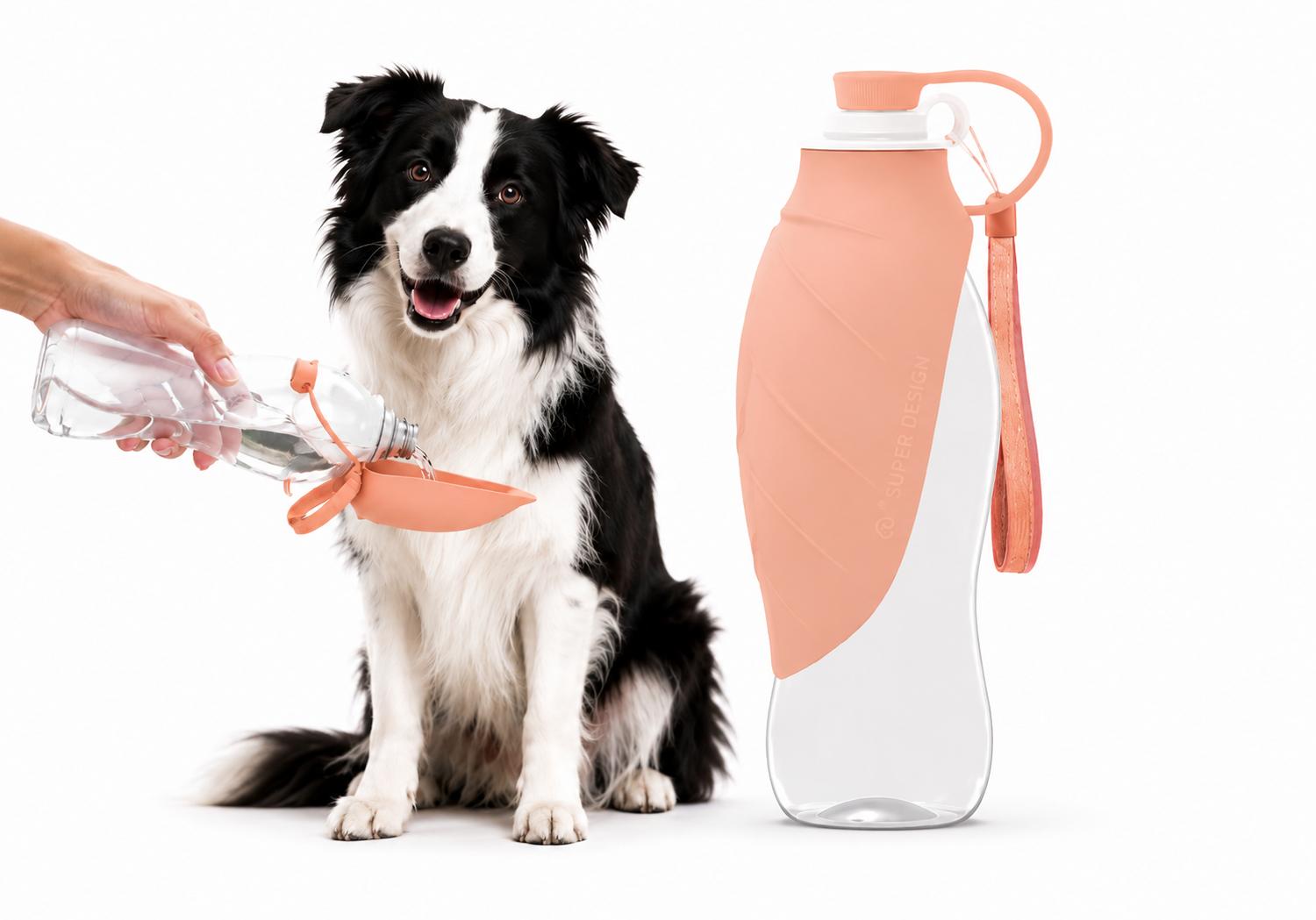 Gourde Nomade Truffe & Co — Hydratation anti-fuite pour chien