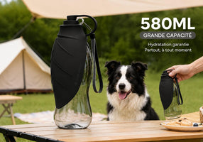 Gourde Nomade Truffe & Co — Hydratation anti-fuite pour chien