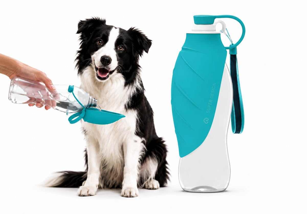 Gourde Nomade Truffe & Co — Hydratation anti-fuite pour chien
