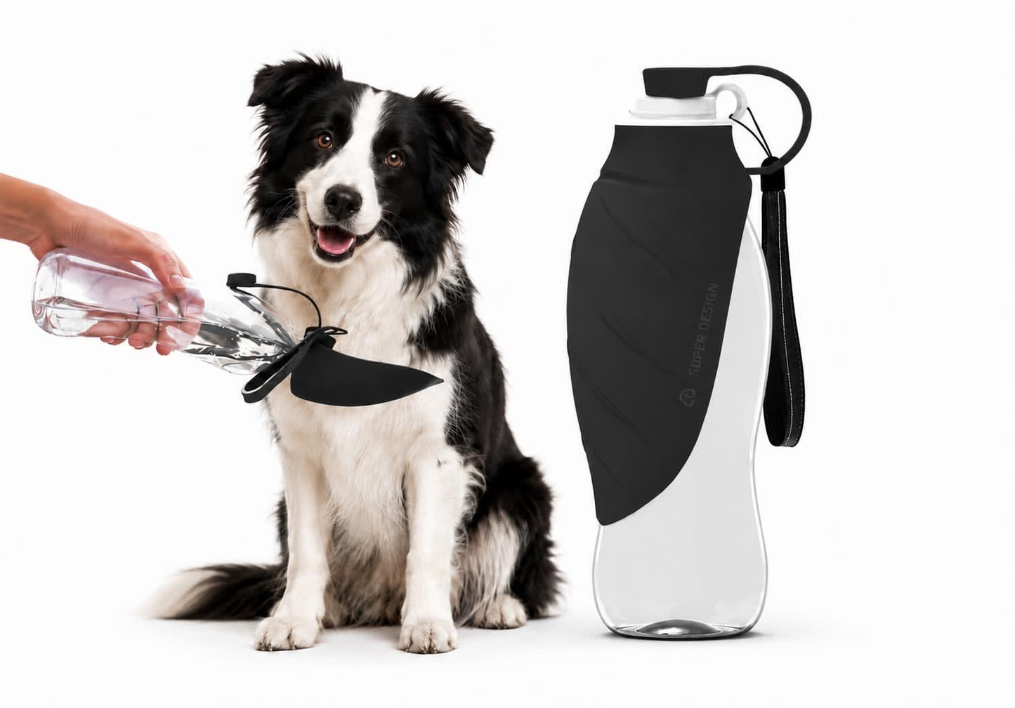 Gourde Nomade Truffe & Co — Hydratation anti-fuite pour chien