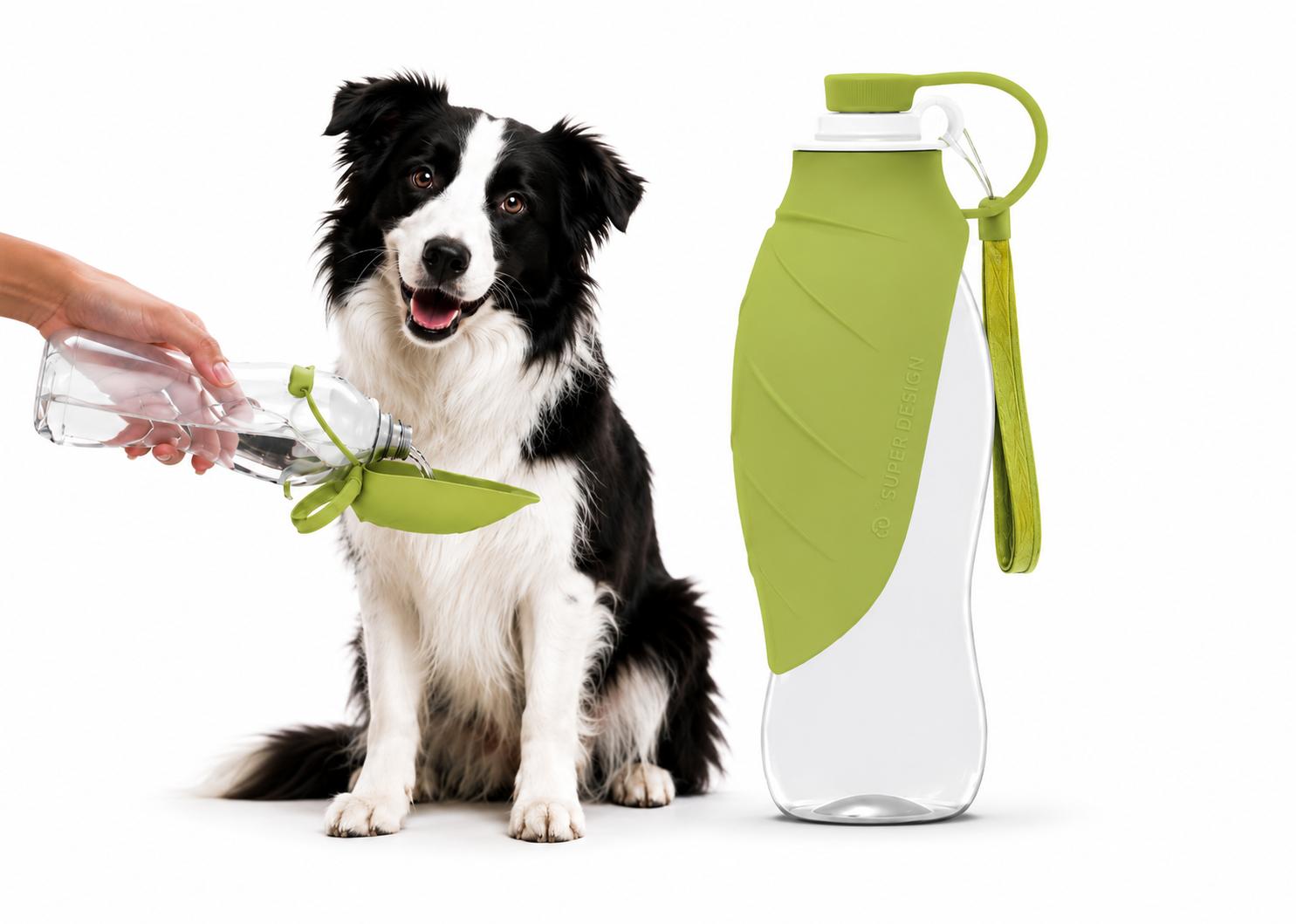 Gourde Nomade Truffe & Co — Hydratation anti-fuite pour chien