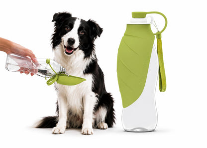 Gourde Nomade Truffe & Co — Hydratation anti-fuite pour chien