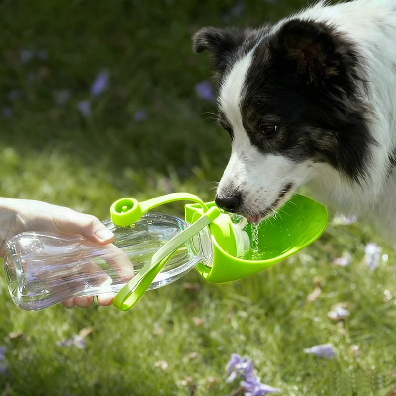 Gourde Nomade Truffe & Co — Hydratation anti-fuite pour chien