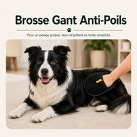 Brosse Magique Anti-Poils Chien & Chat