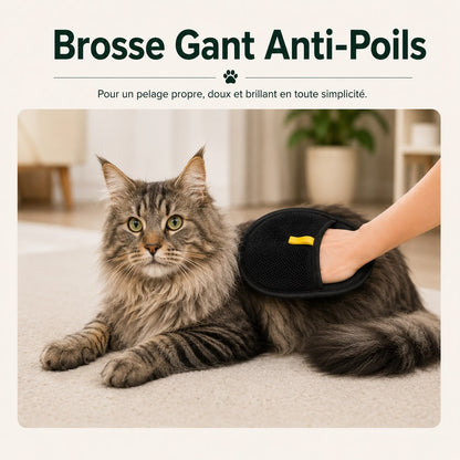 Brosse Magique Anti-Poils Chien & Chat