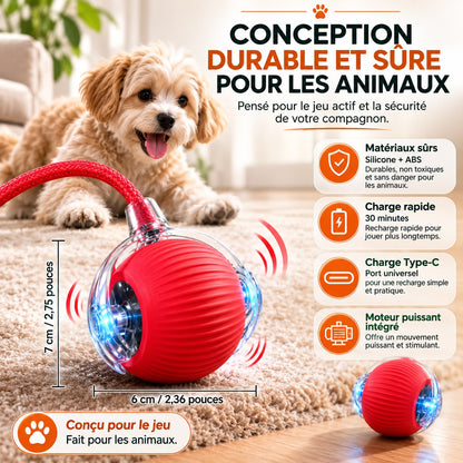 Balle Interactive Automatique 🐾 Jouet Intelligent Rechargeable pour Chat & Petit Chien