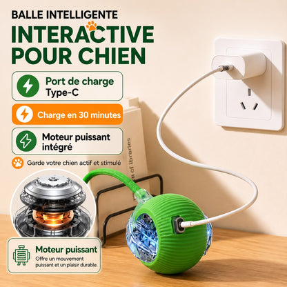 Balle Interactive Automatique 🐾 Jouet Intelligent Rechargeable pour Chat & Petit Chien