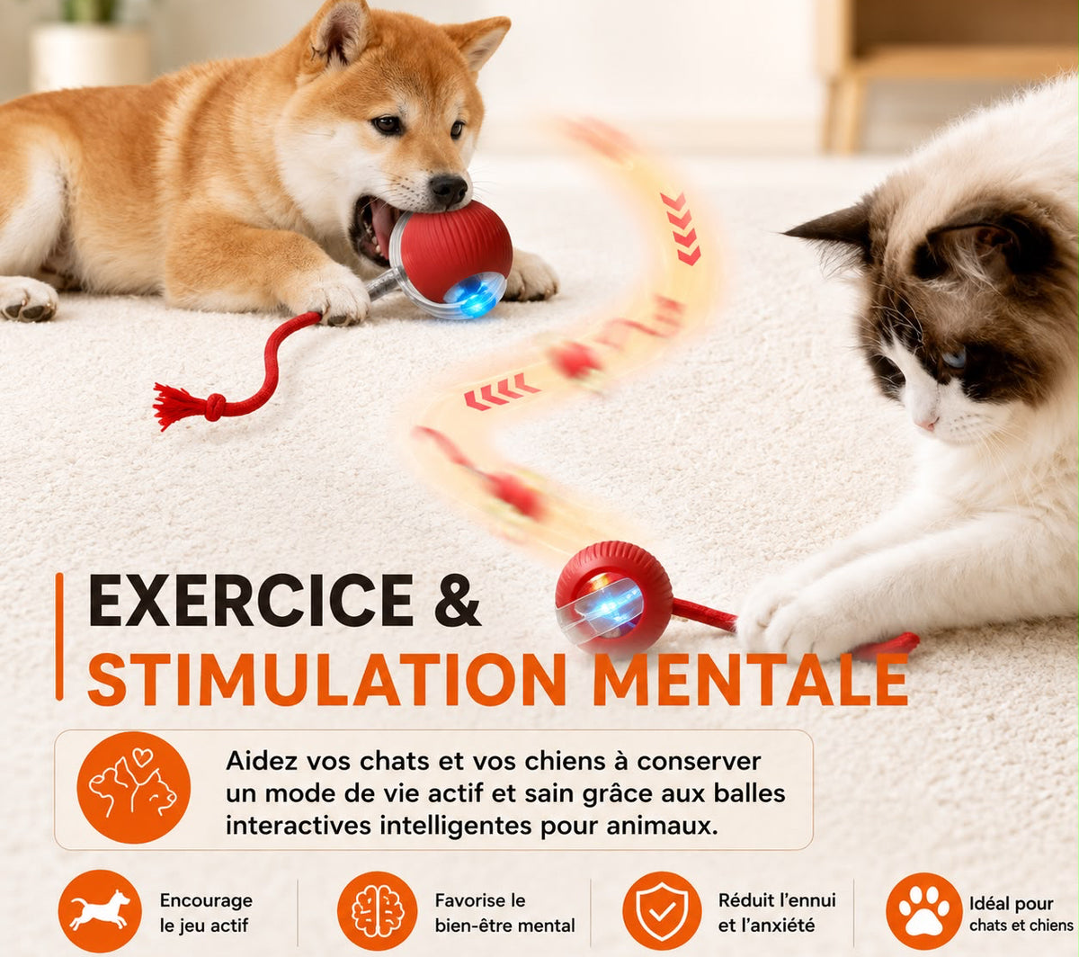 Balle Interactive Automatique 🐾 Jouet Intelligent Rechargeable pour Chat & Petit Chien