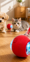 Balle Interactive Automatique 🐾 Jouet Intelligent Rechargeable pour Chat & Petit Chien