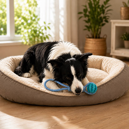 Spielzeug Ball & Seil 🐾 Zahnreinigend Anti-Langeweile für Hunde