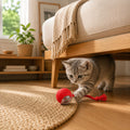 Automatischer Interaktiver Ball 🐾 Intelligentes, wiederaufladbares Spielzeug für Katzen & kleine Hunde