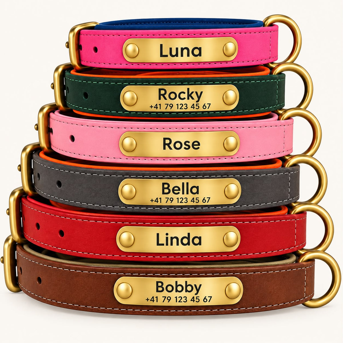 Collier & Laisse en Cuir Truffe & Co — Plaque gravée au nom de ton chien