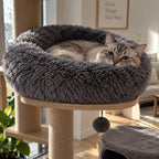 Beruhigendes Bett für Hunde und Katzen - im Einsatz zu Hause
