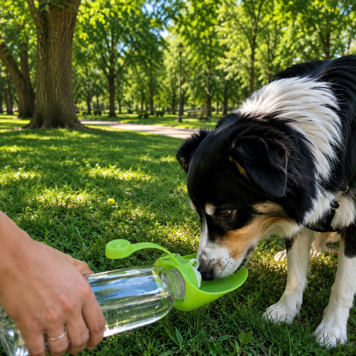 Gourde Nomade Truffe & Co — Hydratation anti-fuite pour chien