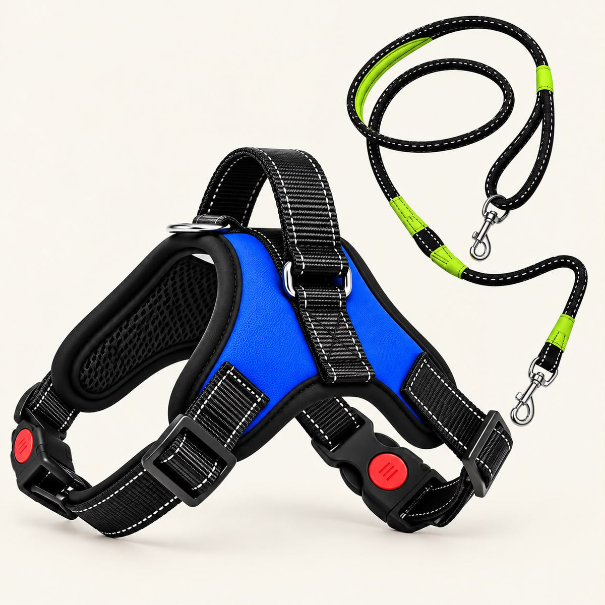 Blue no-pull harness and matching lead set for dogs