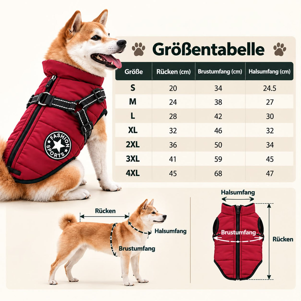 Grössentabelle: welche Pfotenreiniger-Grösse für deinen Hund