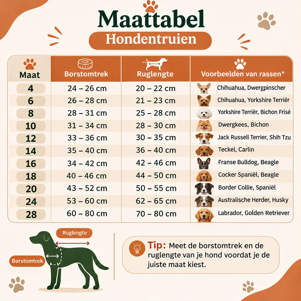 Maattabel: kersttrui voor honden