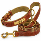 Set collare e guinzaglio in pelle marrone Truffe & Co