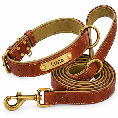 Set collier et laisse en cuir marron grave Truffe & Co