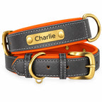 Collare in pelle grigia personalizzato Truffe & Co
