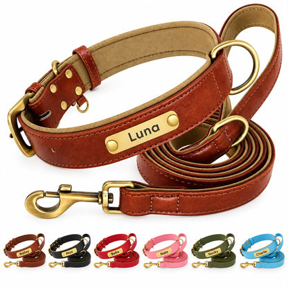 Set collier et laisse en cuir marron personnalise Truffe & Co