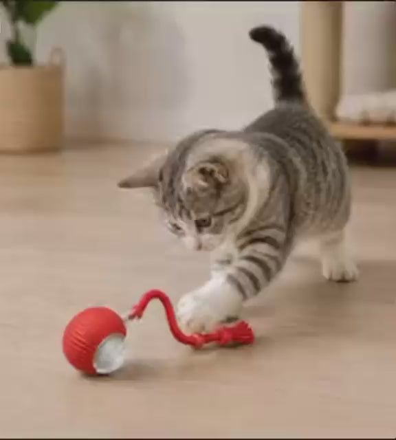 Automatischer Interaktiver Ball 🐾 Intelligentes, wiederaufladbares Spielzeug für Katzen & kleine Hunde