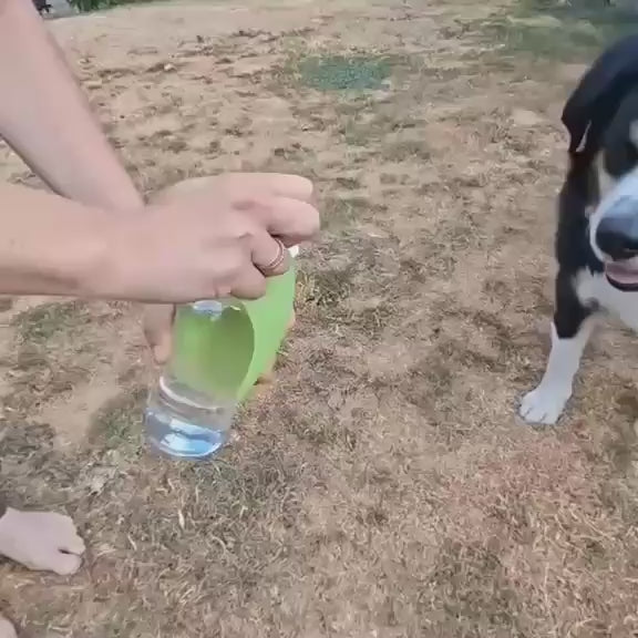 Gourde Nomade Truffe & Co — Auslaufsichere Trinkflasche für Hunde
