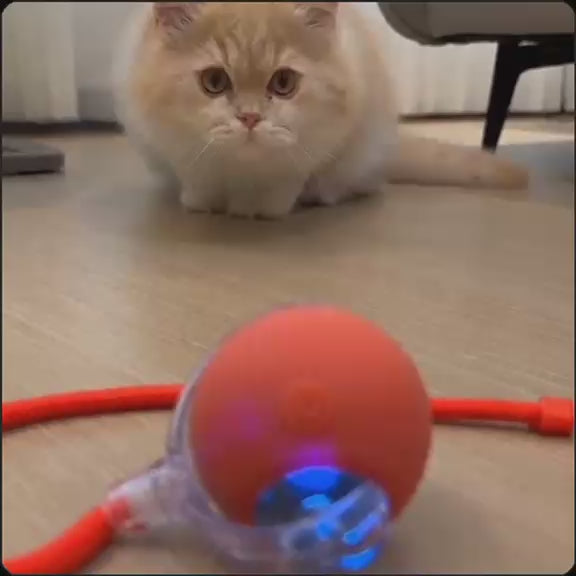 Balle Interactive Automatique 🐾 Jouet Intelligent Rechargeable pour Chat & Petit Chien